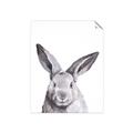 Picture of Big Bunny _GroupedProduct_Rectangle_Portrait_Unframed_Print_Only_
