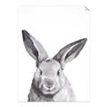 Picture of Big Bunny _GroupedProduct_Rectangle_Portrait_Unframed_Print_Only_