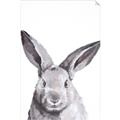 Picture of Big Bunny _GroupedProduct_Rectangle_Portrait_Unframed_Print_Only_