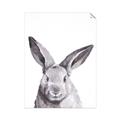Picture of Big Bunny _GroupedProduct_Rectangle_Portrait_Unframed_Print_Only_