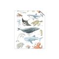 Picture of Sea Life _GroupedProduct_Rectangle_Portrait_Unframed_Print_Only_