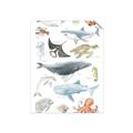 Picture of Sea Life _GroupedProduct_Rectangle_Portrait_Unframed_Print_Only_
