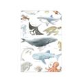 Picture of Sea Life _GroupedProduct_Rectangle_Portrait_Unframed_Print_Only_