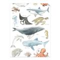 Picture of Sea Life _GroupedProduct_Rectangle_Portrait_Unframed_Print_Only_
