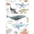 Picture of Sea Life _GroupedProduct_Rectangle_Portrait_Unframed_Print_Only_