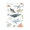 Picture of Sea Life _GroupedProduct_Rectangle_Portrait_Unframed_Print_Only_