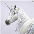 Picture of Purple Unicorn _GroupedProduct_Square_Unframed_Print_Only_