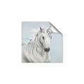 Picture of Blue Unicorn _GroupedProduct_Square_Unframed_Print_Only_