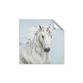 Picture of Blue Unicorn _GroupedProduct_Square_Unframed_Print_Only_