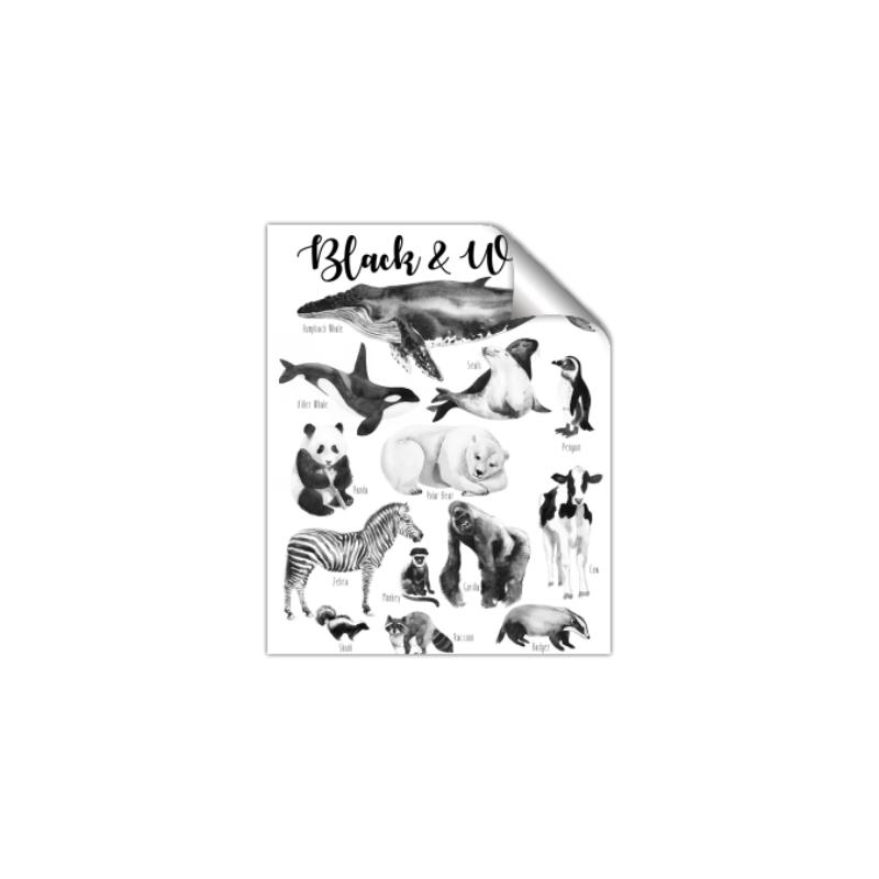 Picture of Black and white Animals _GroupedProduct_Rectangle_Portrait_Unframed_Print_Only_