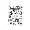 Picture of Black and white Animals _GroupedProduct_Rectangle_Portrait_Unframed_Print_Only_