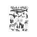 Picture of Black and white Animals _GroupedProduct_Rectangle_Portrait_Unframed_Print_Only_