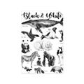 Picture of Black and white Animals _GroupedProduct_Rectangle_Portrait_Unframed_Print_Only_