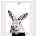 Picture of Big Bunny _GroupedProduct_Rectangle_Portrait_Canvas_