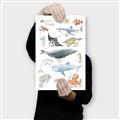 Picture of Sea Life _GroupedProduct_Rectangle_Portrait_Canvas_