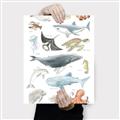 Picture of Sea Life _GroupedProduct_Rectangle_Portrait_Canvas_