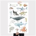 Picture of Sea Life _GroupedProduct_Rectangle_Portrait_Canvas_