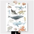 Picture of Sea Life _GroupedProduct_Rectangle_Portrait_Canvas_