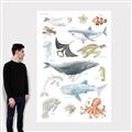 Picture of Sea Life _GroupedProduct_Rectangle_Portrait_Canvas_