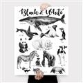 Picture of Black and white Animals _GroupedProduct_Rectangle_Portrait_Canvas_