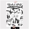Picture of Black and white Animals _GroupedProduct_Rectangle_Portrait_Canvas_
