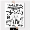 Picture of Black and white Animals _GroupedProduct_Rectangle_Portrait_Canvas_