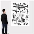 Picture of Black and white Animals _GroupedProduct_Rectangle_Portrait_Canvas_