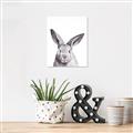 Picture of Big Bunny _GroupedProduct_Rectangle_Portrait_Canvas_