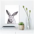 Picture of Big Bunny _GroupedProduct_Rectangle_Portrait_Canvas_