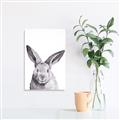 Picture of Big Bunny _GroupedProduct_Rectangle_Portrait_Canvas_