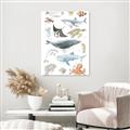 Picture of Sea Life _GroupedProduct_Rectangle_Portrait_Canvas_