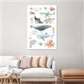 Picture of Sea Life _GroupedProduct_Rectangle_Portrait_Canvas_
