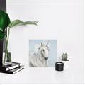 Picture of Blue Unicorn _GroupedProduct_Square_Canvas_