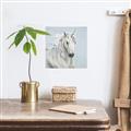 Picture of Blue Unicorn _GroupedProduct_Square_Canvas_