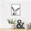 Picture of Big Bunny _GroupedProduct_Rectangle_Portrait_Canvas_Framed_