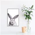 Picture of Big Bunny _GroupedProduct_Rectangle_Portrait_Canvas_Framed_