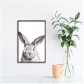 Picture of Big Bunny _GroupedProduct_Rectangle_Portrait_Canvas_Framed_