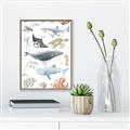 Picture of Sea Life _GroupedProduct_Rectangle_Portrait_Canvas_Framed_