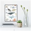 Picture of Sea Life _GroupedProduct_Rectangle_Portrait_Canvas_Framed_
