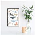 Picture of Sea Life _GroupedProduct_Rectangle_Portrait_Canvas_Framed_
