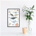 Picture of Sea Life _GroupedProduct_Rectangle_Portrait_Canvas_Framed_