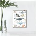 Picture of Sea Life _GroupedProduct_Rectangle_Portrait_Canvas_Framed_