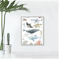 Picture of Sea Life _GroupedProduct_Rectangle_Portrait_Canvas_Framed_