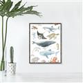 Picture of Sea Life _GroupedProduct_Rectangle_Portrait_Canvas_Framed_