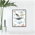Picture of Sea Life _GroupedProduct_Rectangle_Portrait_Canvas_Framed_
