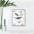 Picture of Sea Life _GroupedProduct_Rectangle_Portrait_Canvas_Framed_