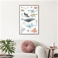 Picture of Sea Life _GroupedProduct_Rectangle_Portrait_Canvas_Framed_