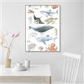 Picture of Sea Life _GroupedProduct_Rectangle_Portrait_Canvas_Framed_