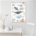Picture of Sea Life _GroupedProduct_Rectangle_Portrait_Canvas_Framed_