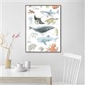 Picture of Sea Life _GroupedProduct_Rectangle_Portrait_Canvas_Framed_